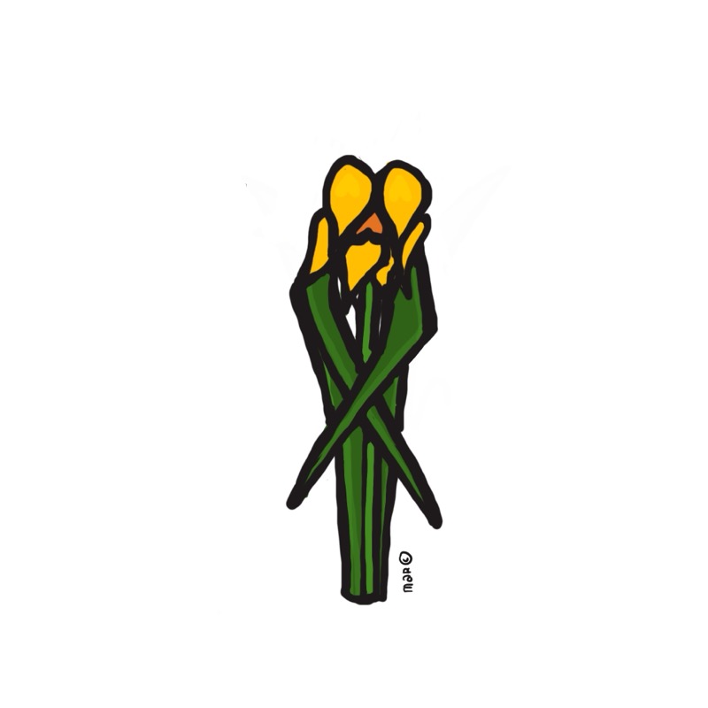 Handgetekende bloemenillustratie door Marretjes